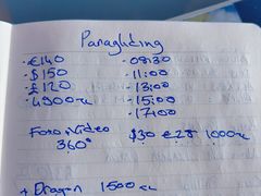 -费特希耶滑翔伞