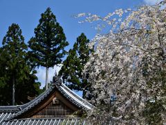 -三千院