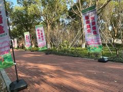 -金鸡湖桃花岛