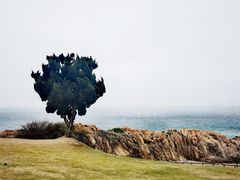 -小麦岛公园