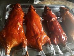 吊烧爱大米-阿鸟农庄(石壁店)