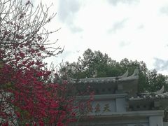 -乌山风景区