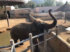 -西霞口神雕山野生动物世界