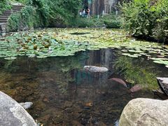 -莫干山风景区