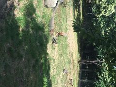 秦岭野生动物园-西安秦岭野生动物园