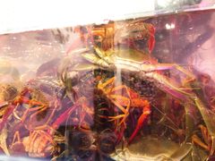 -二钳洞庭虾蟹·江湖菜(成都鹭岛店)