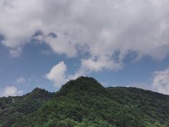 -狮子沟牧场