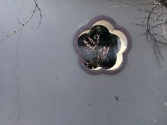 -无锡梅园公园