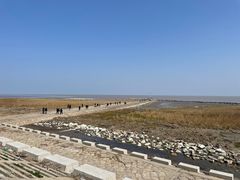 -南汇嘴观海公园