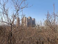 -南翠屏公园