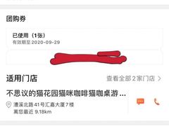 -猫猫幼稚园·撸猫·桌游·电玩