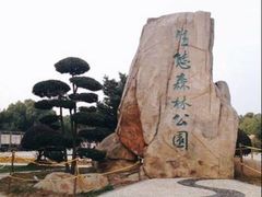 -昆山城市生态森林公园