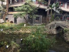 -大妙火锅·非物质文化遗产(东湖公园店)