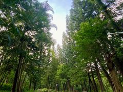 -深圳国际园林花卉博览园