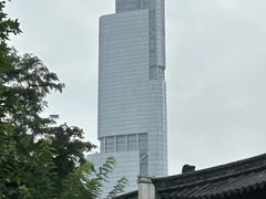 -紫峰大厦