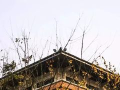 -浙江大学(舟山校区)