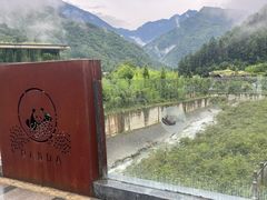 -卧龙中华大熊猫苑神树坪基地