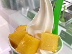 -Salud撒露欧洲冻酸奶(五道口购物中心店)