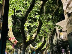 -La Creperie法餐厅(桃江路店)