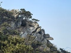 -沂蒙山旅游区龟蒙景区