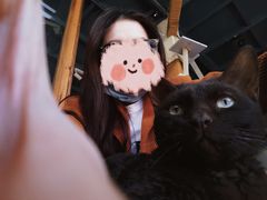 -喵屿·大理花园猫咖