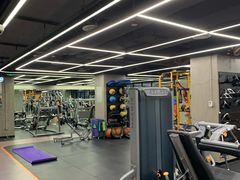 -健身专家Wellness Experts