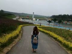 -北纬44度·金珠花海休闲农业旅游景区