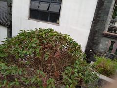-广州神农草堂中医药博物馆