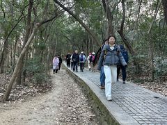 -紫金山山顶公园
