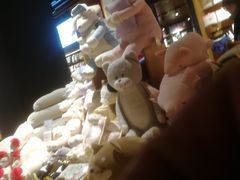 -九木杂物社(恒隆广场店)