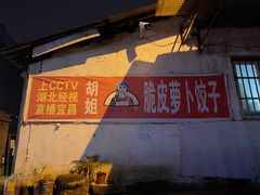 -半月镰胡姐脆皮萝卜饺子