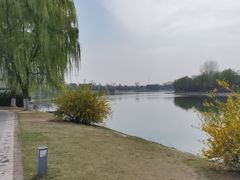 -沙澧河风景区
