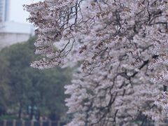 -成都市活水公园