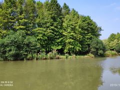 -新江湾城公园