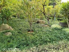 -乌山风景区