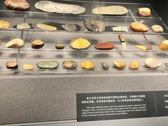 -金沙遗址博物馆