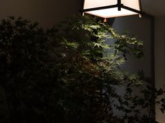 -汤宴·参须肚包鸡(南京路店)