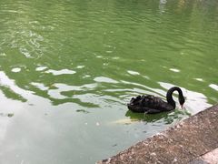 -广东茂名森林公园