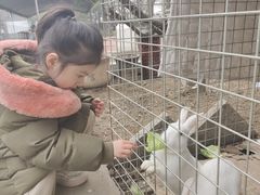 -尚庄度假村·庭台树下·户外烧烤·团建CS·轰趴营地(上庄水库店)
