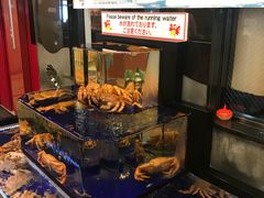 -蟹道乐(道顿堀本店)