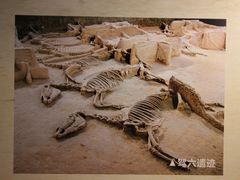 -洛阳周王城天子驾六博物馆