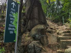 -南山植物园