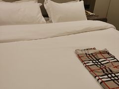 -汉庭(天津成林道地铁站店)
