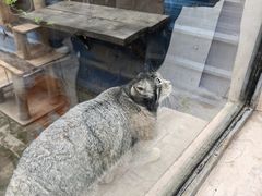 -青藏高原野生动物园