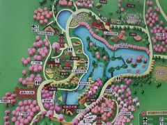 -天适樱花悠乐园