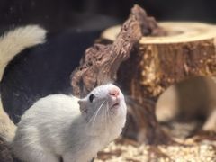 -太平洋海底世界