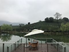-帐篷客·溪龙茶谷度假酒店