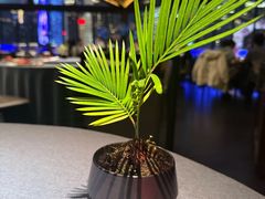 -三利音·东方司宴(外滩店)
