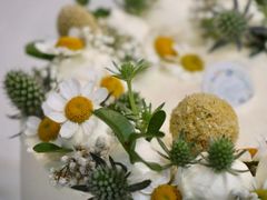 -小苍兰风铃草蛋糕甜品(沈阳店)