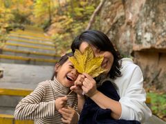 -五女峰国家森林公园